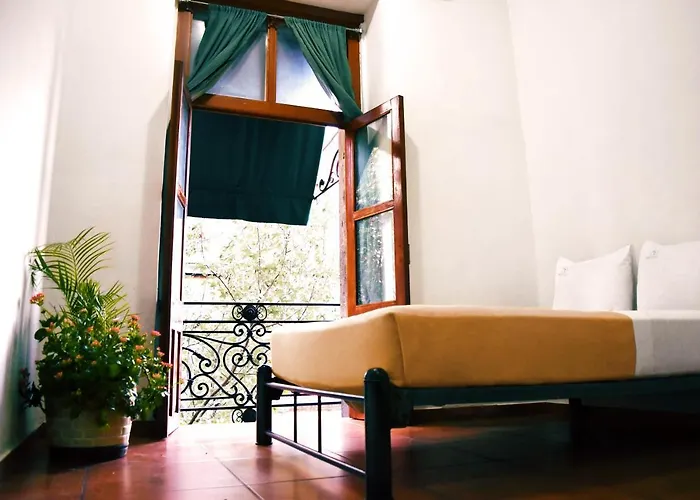 Mexico City Hostel *