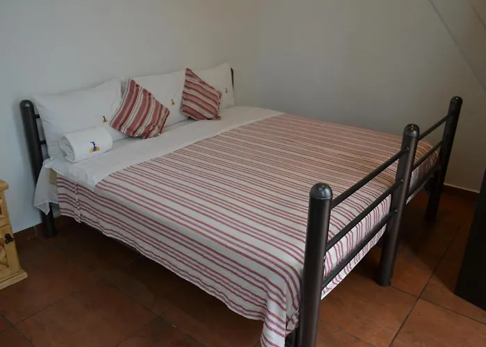 Mexico City Hostel *