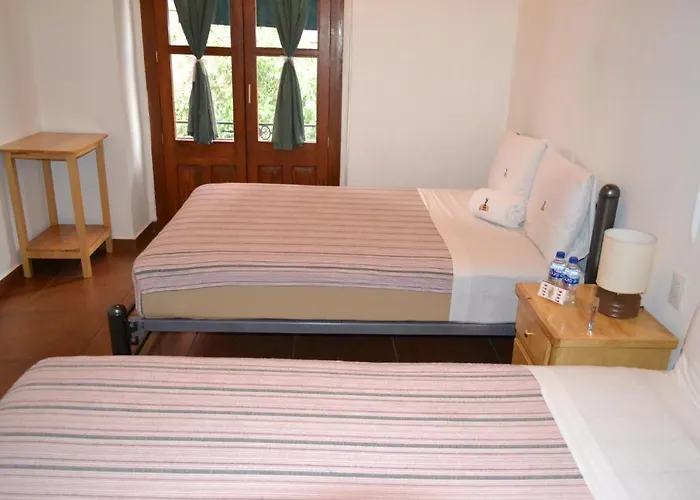 Mexico City Hostel *