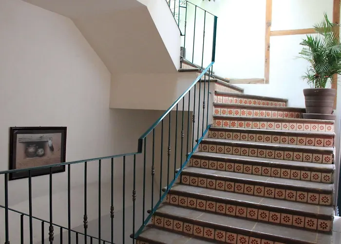 Mexico City Hostel *